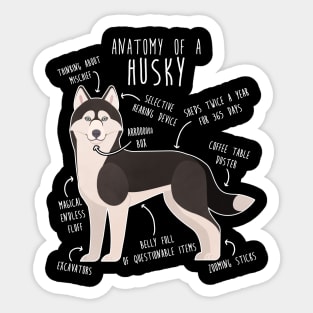 Black and White Siberian Husky Dog Anatomy Sticker